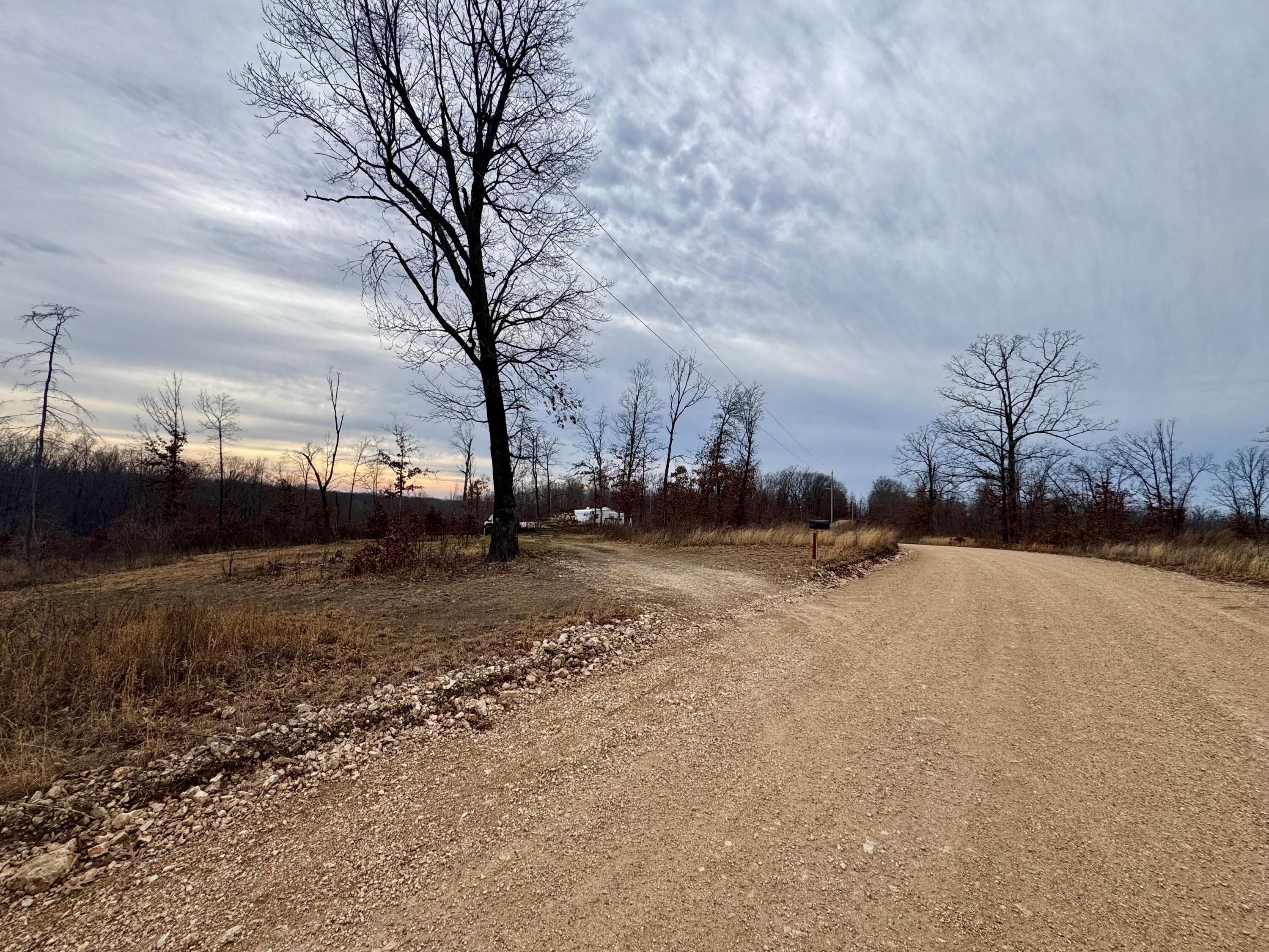 3130 Songbird Road Powell, MO 65730 - Photo 4 of 10 7 (2)