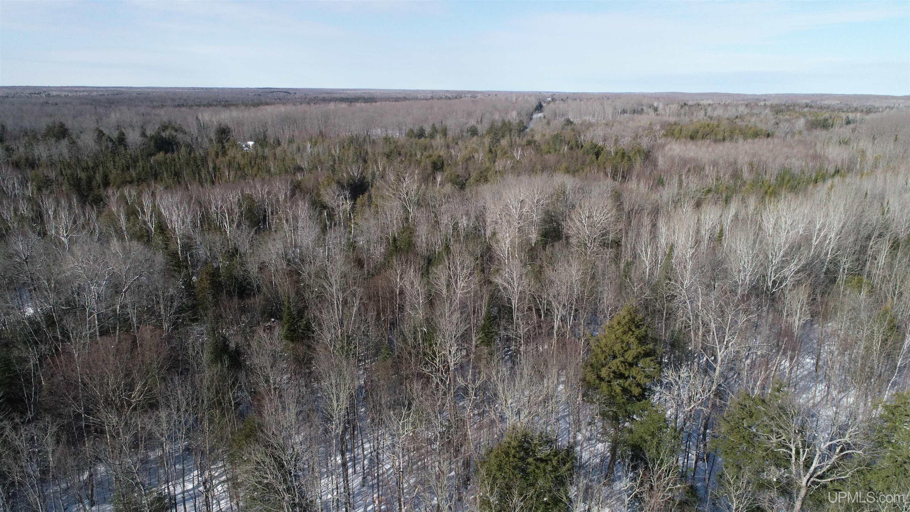 Tbd Tbd Long Point Road Curtis, MI 49820 - Photo 10 of 77