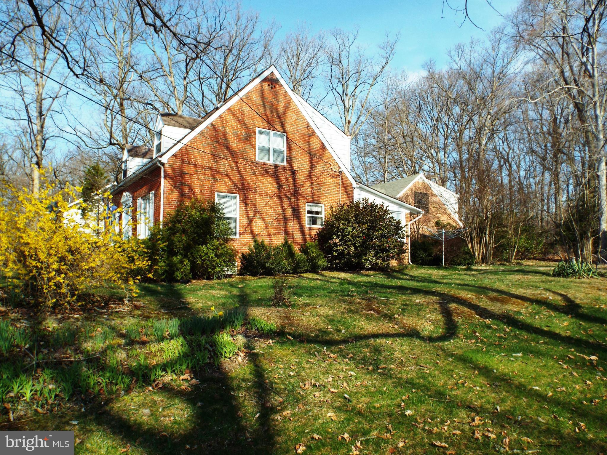 6702 Braddock Road Annandale, VA 22003 - Photo 3 of 10 a view of a park with large trees