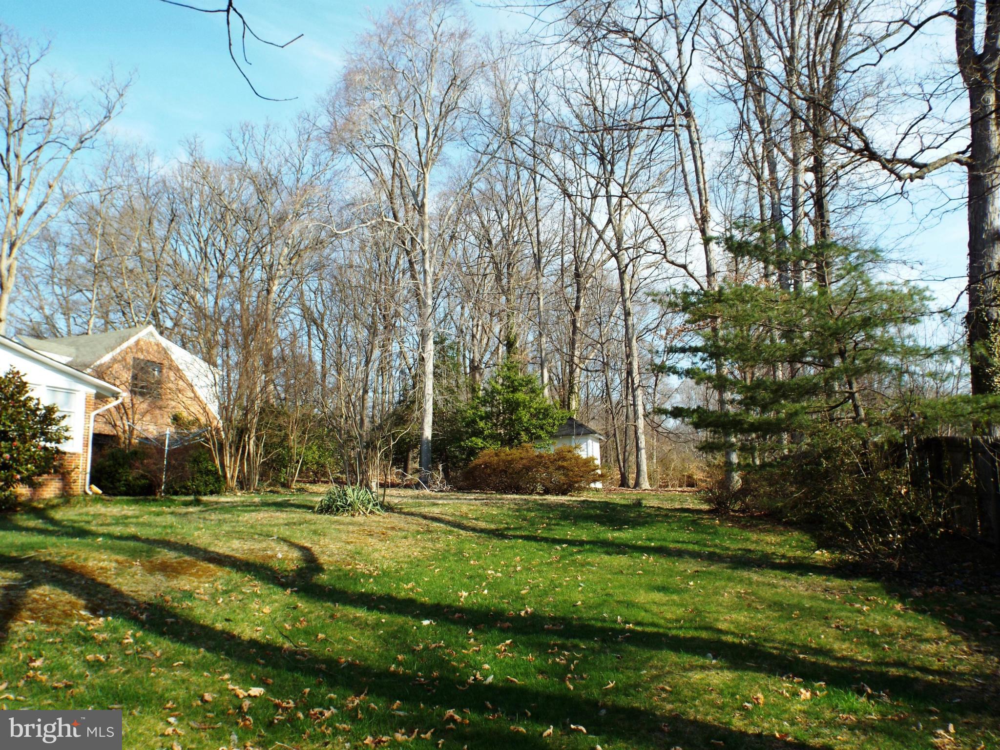 6702 Braddock Road Annandale, VA 22003 - Photo 8 of 10 a garden view with outdoor space
