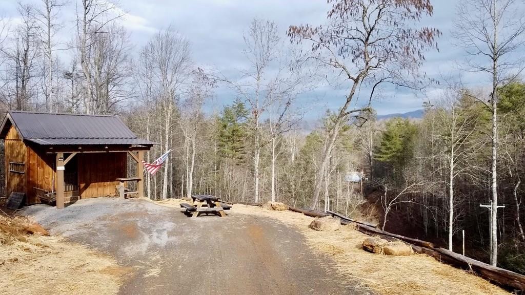 456 Grassy Branch Road Sevierville, TN 37876 - Photo 1 of 28