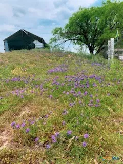 a view of a wooden fence and flowers