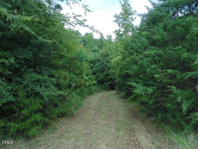 0 Kerr Lake Road Henderson, NC 27537 - Photo 16 of 22 DSC06924-DESKTOP-8UA5R2A