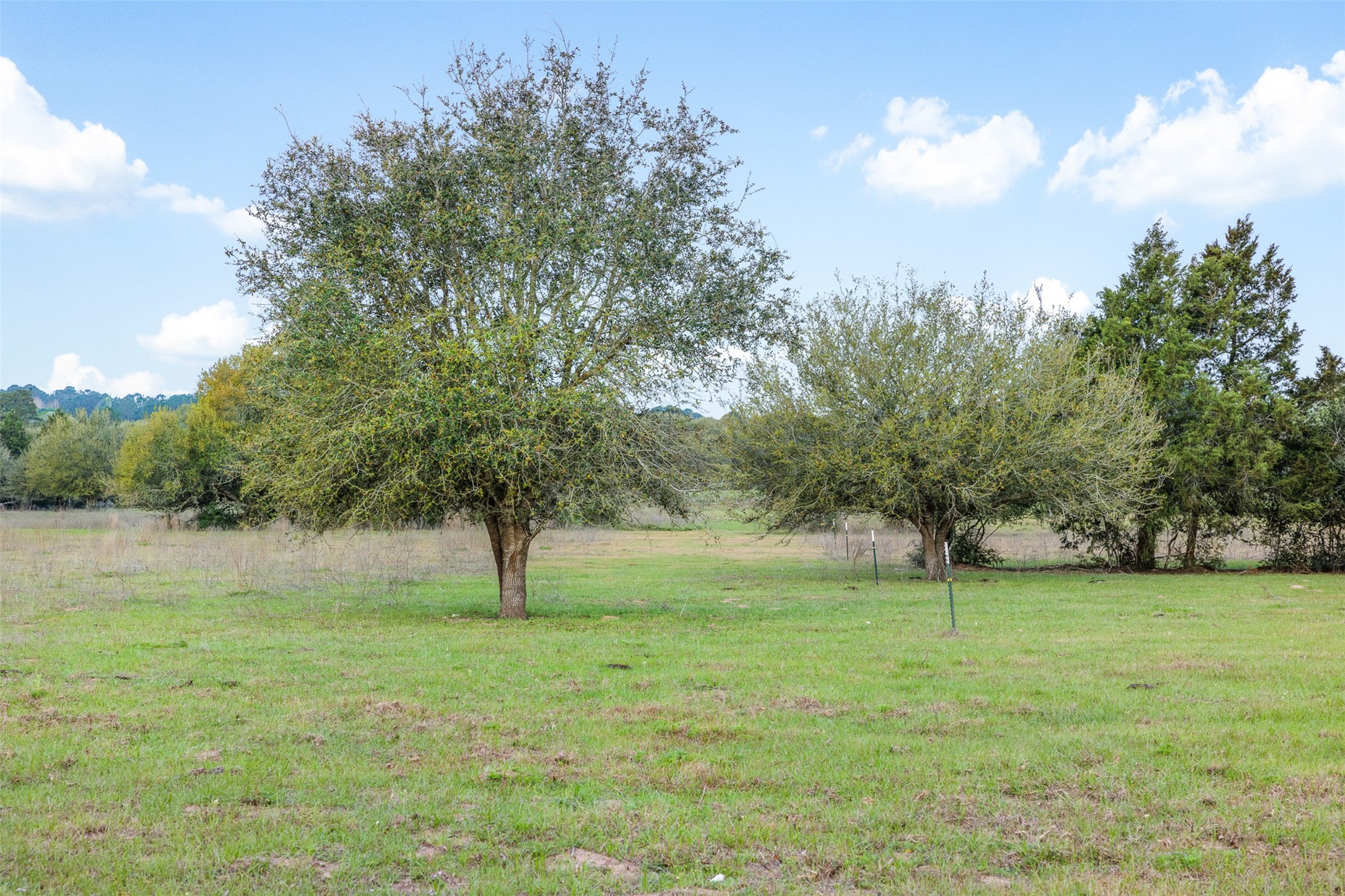 1017 New Ulm Road Cat Spring, TX 78933 - Photo 11 of 25
