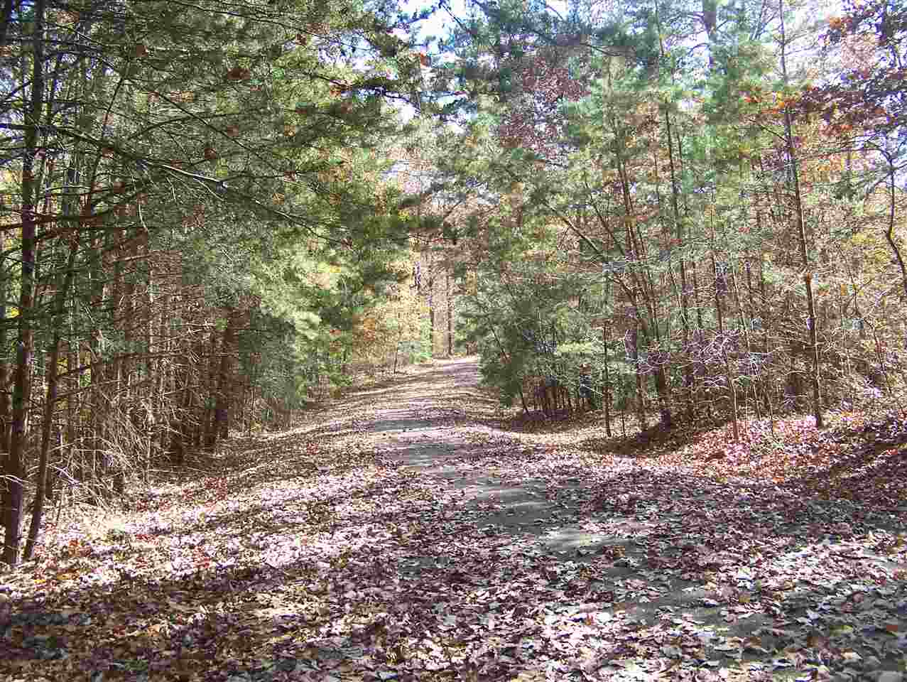 172 Hollow Tree Road Savannah, TN 38372 - Photo 3 of 24 Gallery Image 3