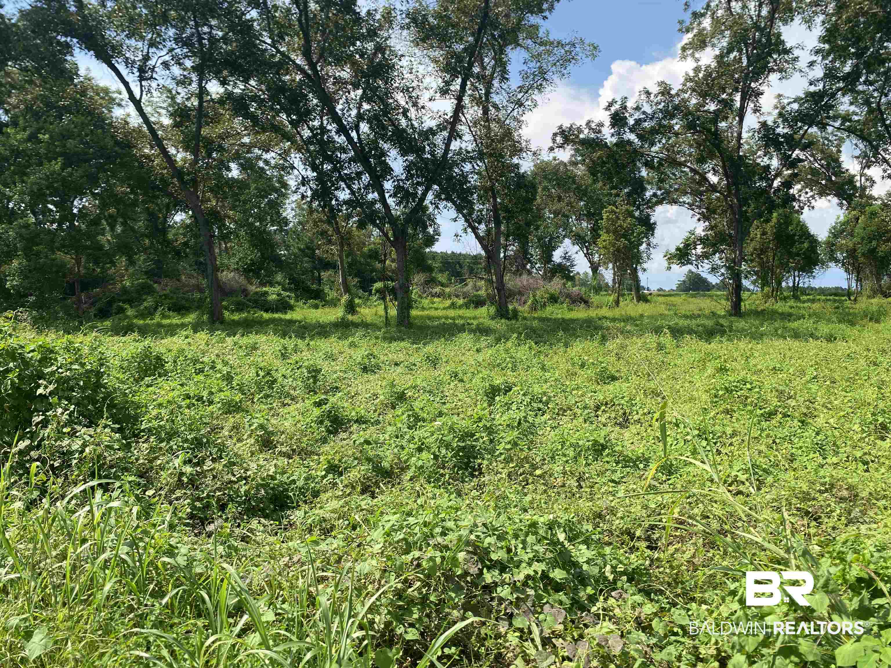 16827 Engel Lane Foley, AL 36535 - Photo 5 of 10 View from Ray Gardner Ln