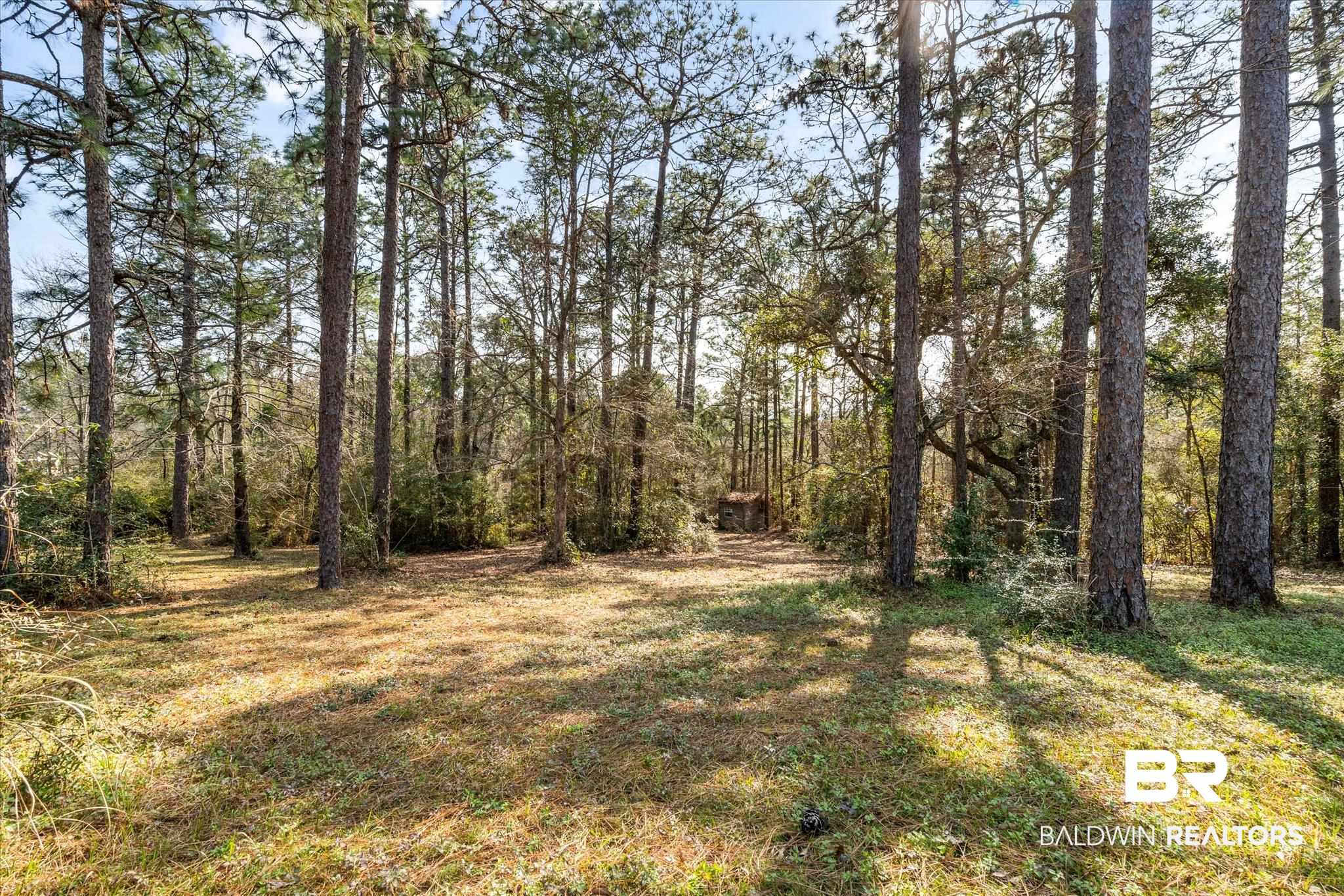 8451 Nugget Drive Mobile, AL 36695 - Photo 8 of 12