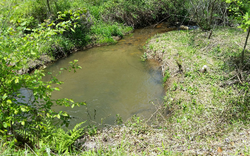 Cold Branch Hayesville, NC 28904 - Photo 1 of 1 Main View