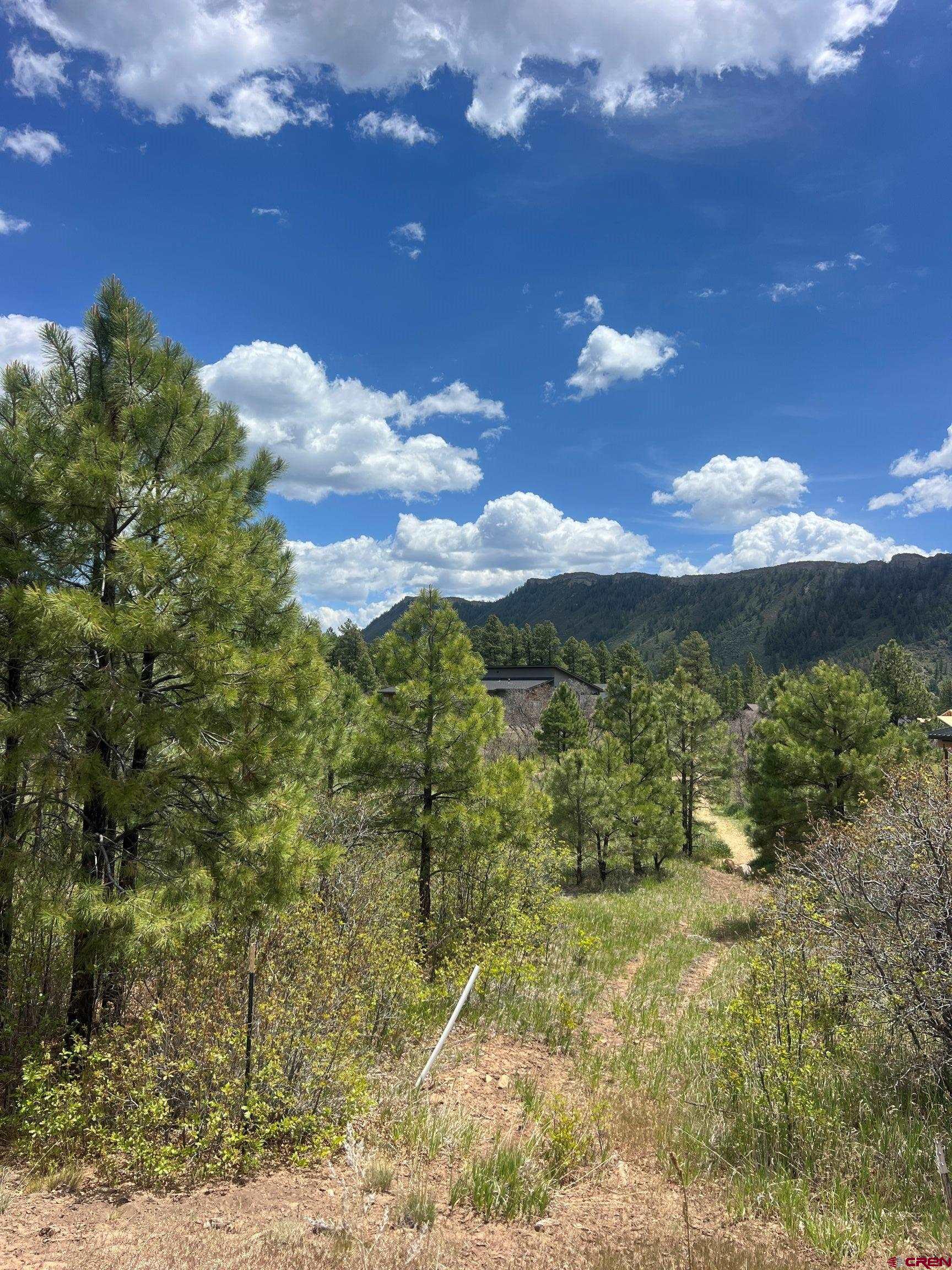 29 Edgemont Meadows Road Durango, CO 81301 - Photo 3 of 6