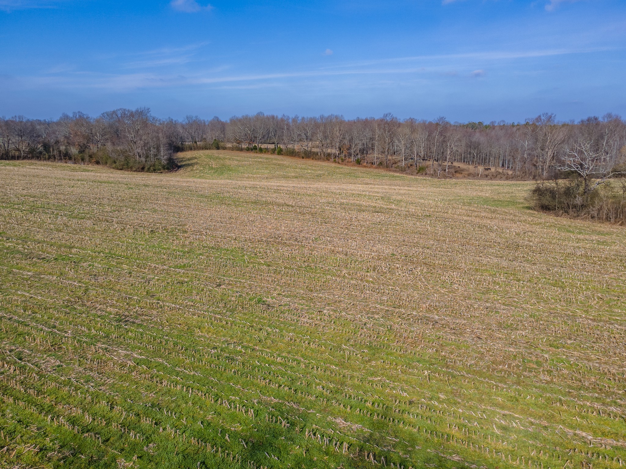 0 Jones Chapel Road Leoma, TN 38468 - Photo 11 of 14 a view of a lake view and mountain view