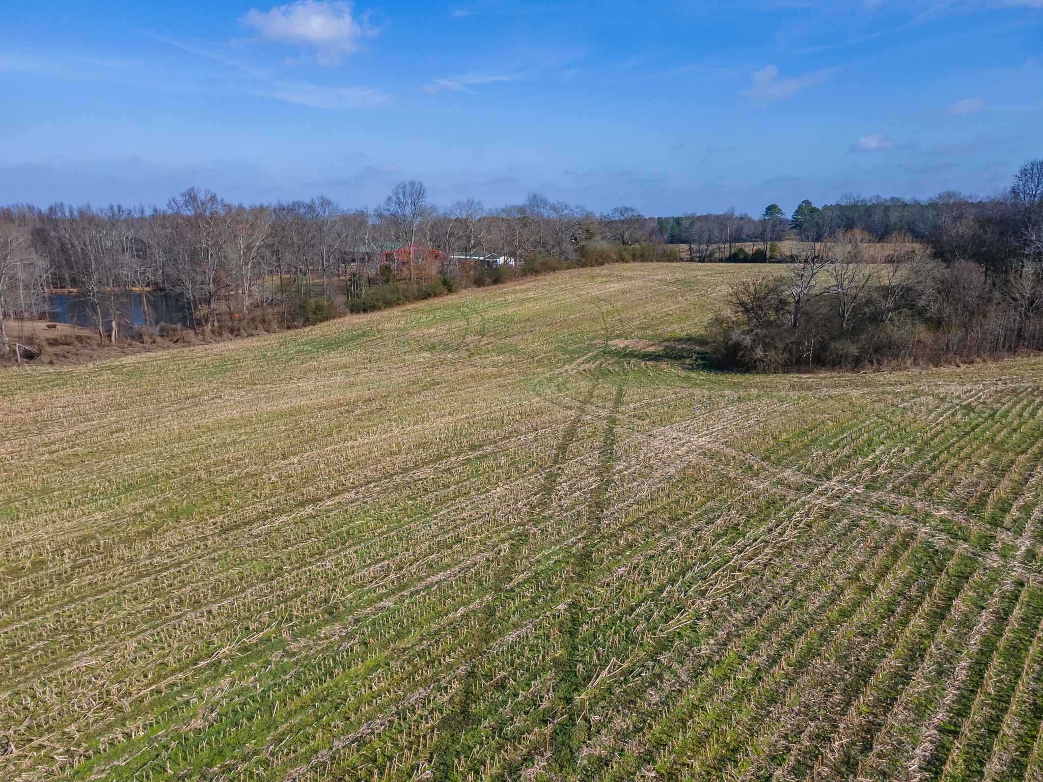 0 Jones Chapel Road Leoma, TN 38468 - Photo 12 of 14 a view of an ocean and mountain