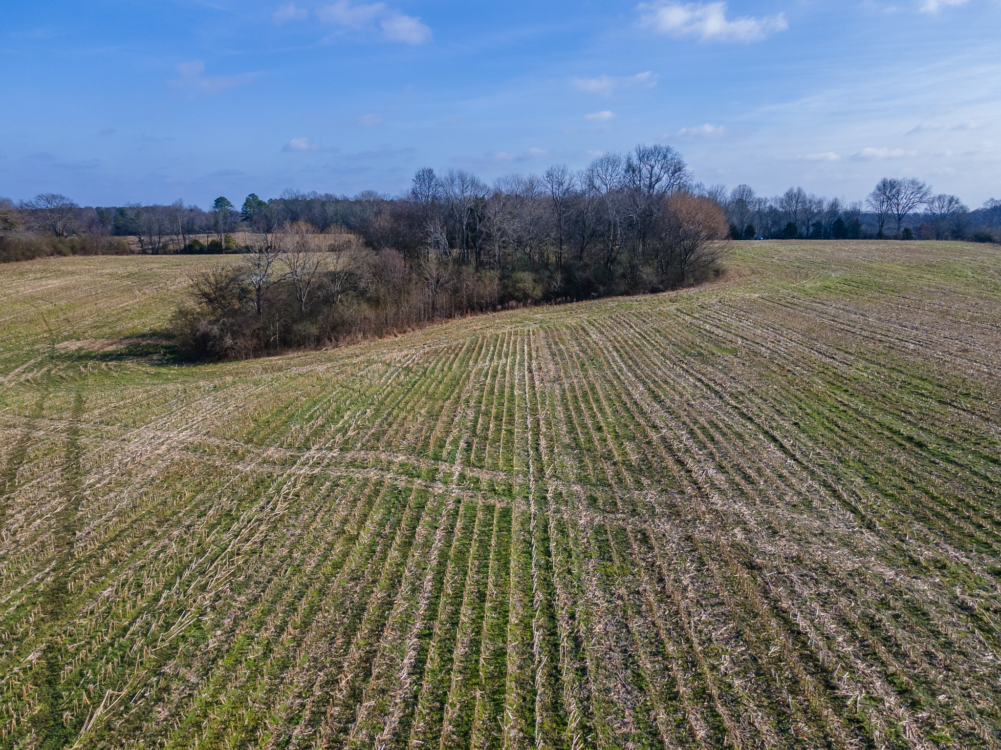 0 Jones Chapel Road Leoma, TN 38468 - Photo 13 of 14 a view of lake and mountain