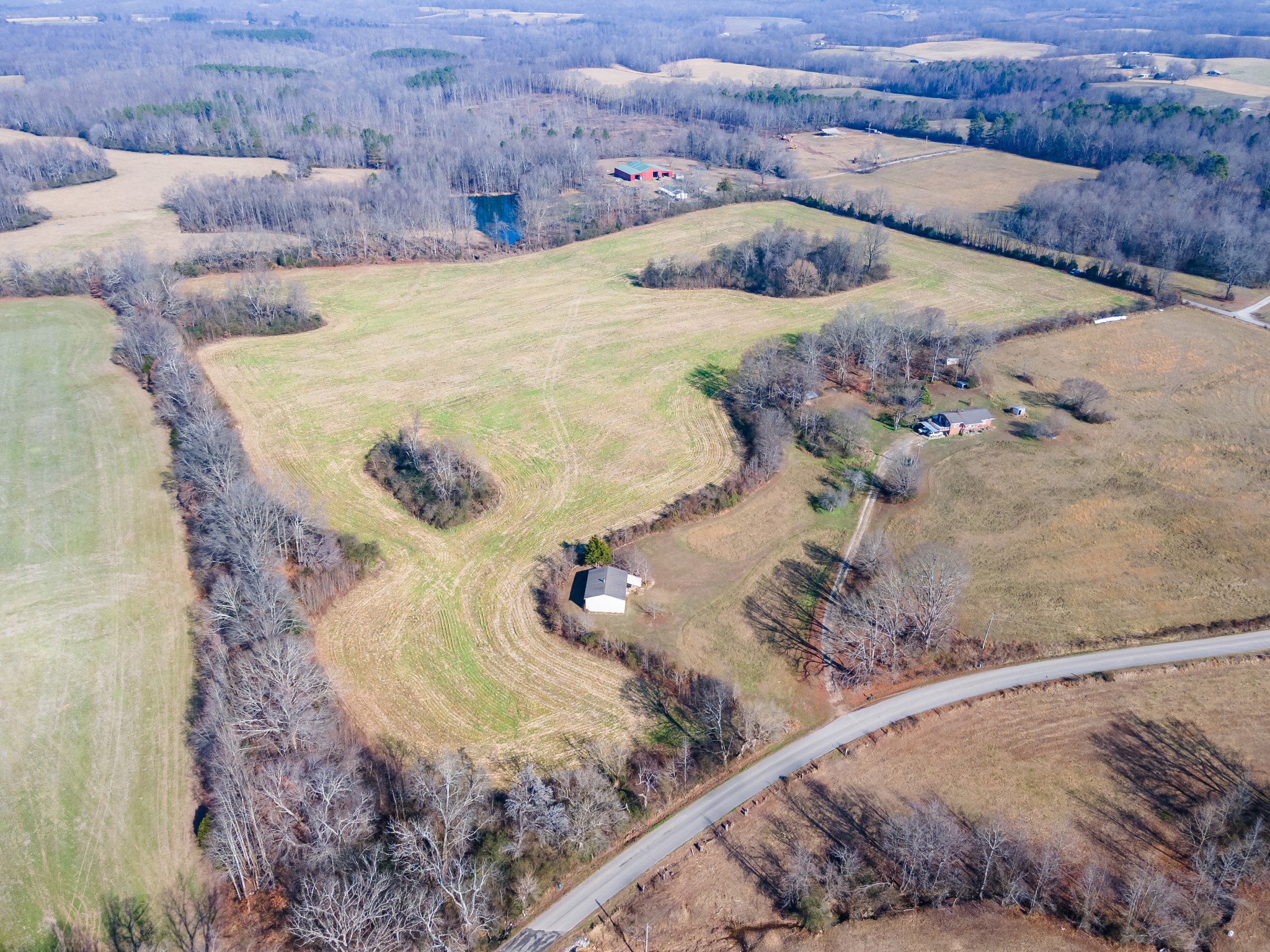 0 Jones Chapel Road Leoma, TN 38468 - Photo 5 of 14 a view of a bedroom with a bed