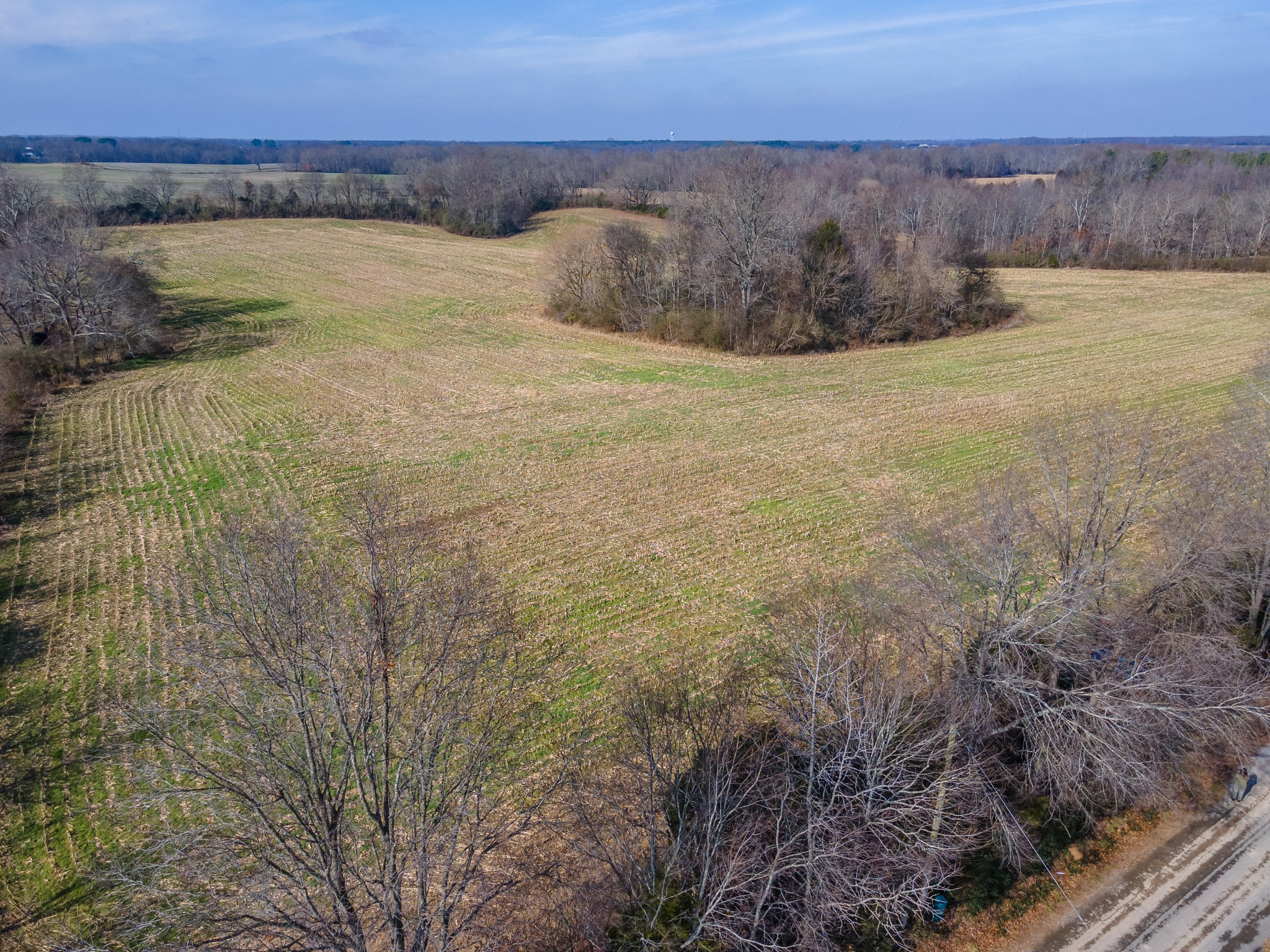 0 Jones Chapel Road Leoma, TN 38468 - Photo 8 of 14 a view of an outdoor space and a lake view