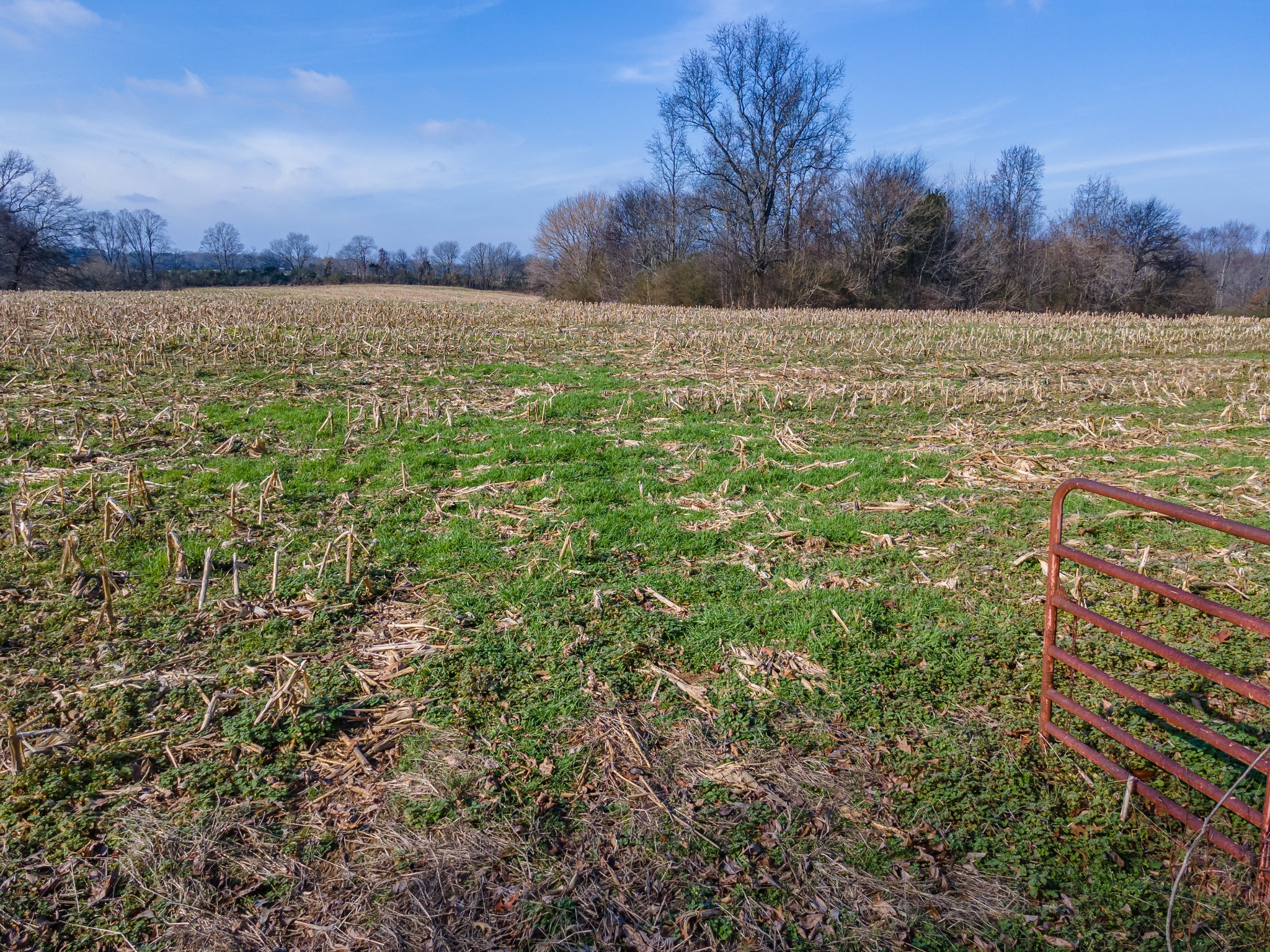 0 Jones Chapel Road Leoma, TN 38468 - Photo 10 of 14 a view of lake view and mountain view