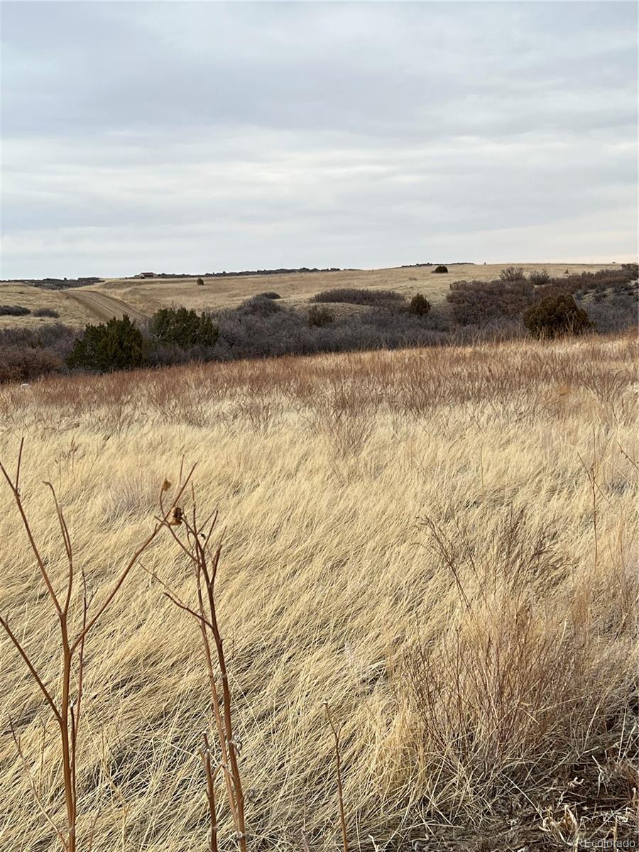 Lot 126 Rio Vista Rye, CO 81069 - Photo 5 of 8