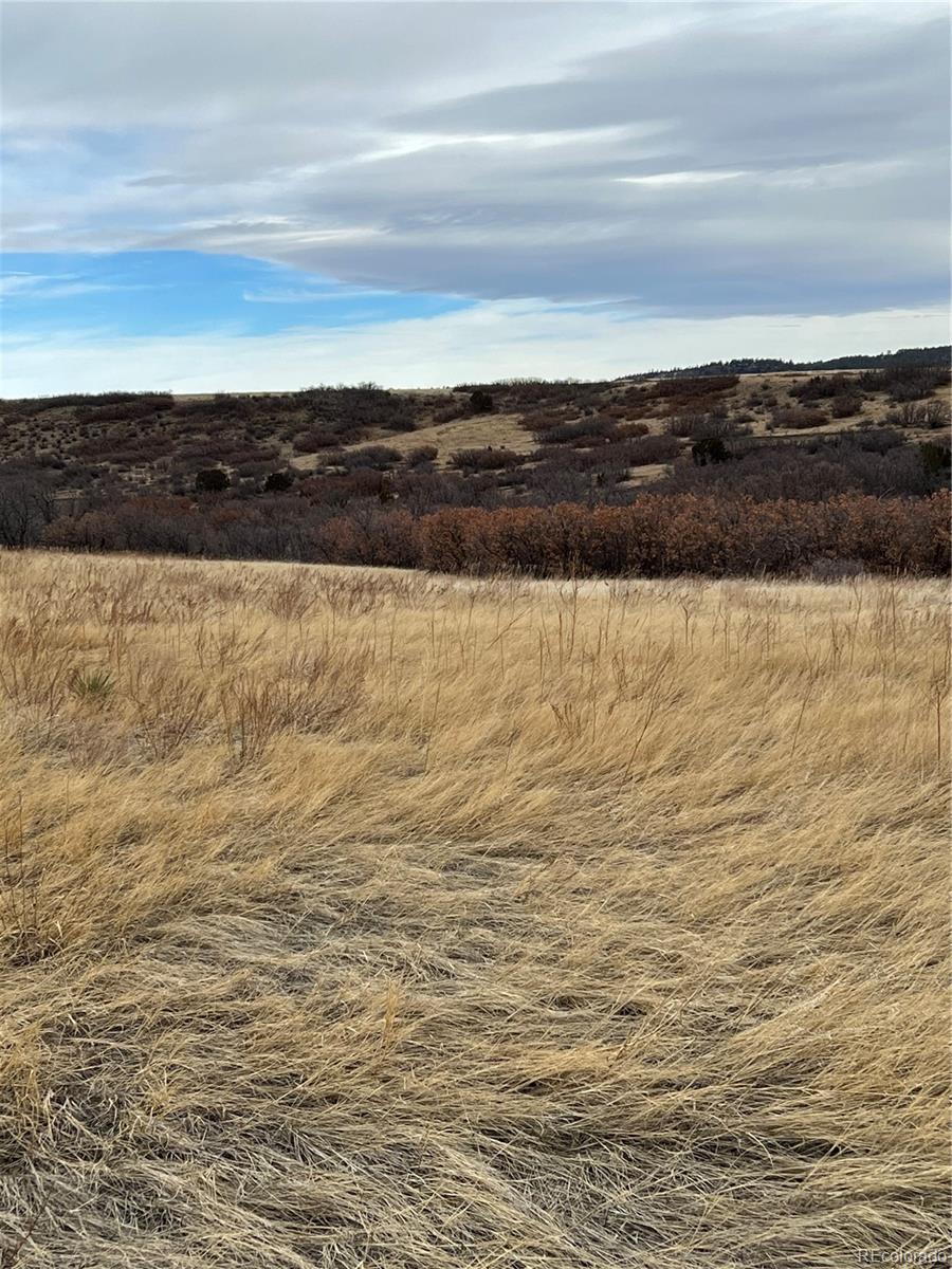 Lot 126 Rio Vista Rye, CO 81069 - Photo 8 of 8 a view of an ocean