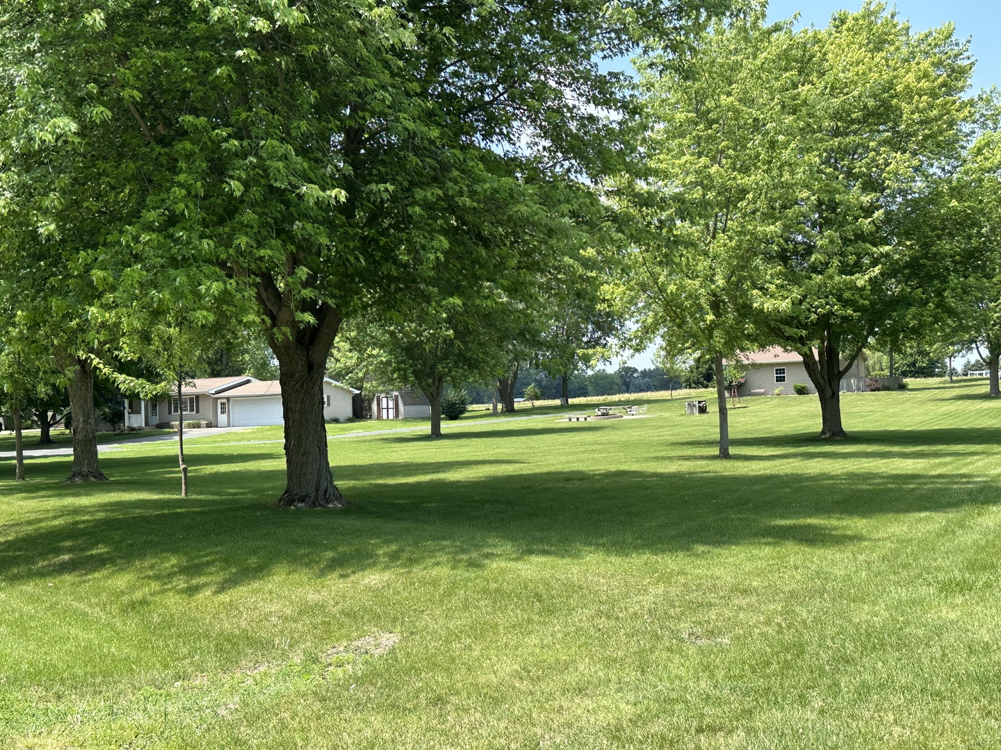 12855 Lawrence Road Sterling, IL 61081 - Photo 28 of 30 a huge green field with lots of trees