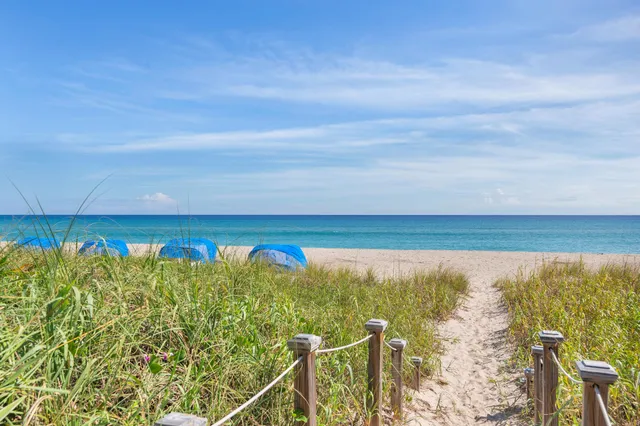 a view of building with garden