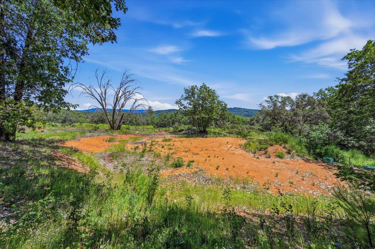 20154 Sky Ridge Place Nevada City, CA 95959 - Photo 14 of 20 a view of yard with green space