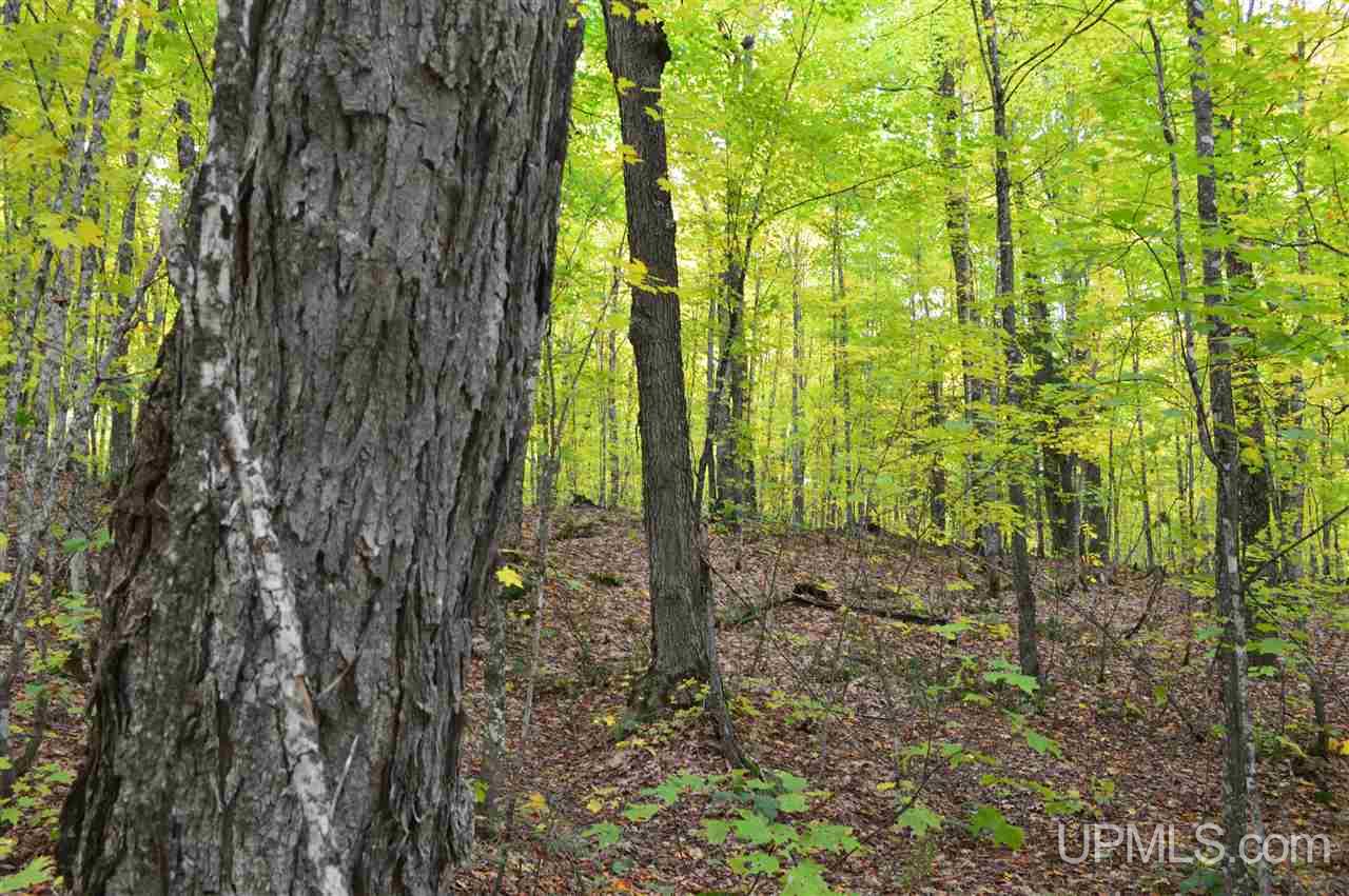 Tbd Peshekee Grade Road Skanee, MI 49962 - Photo 8 of 35