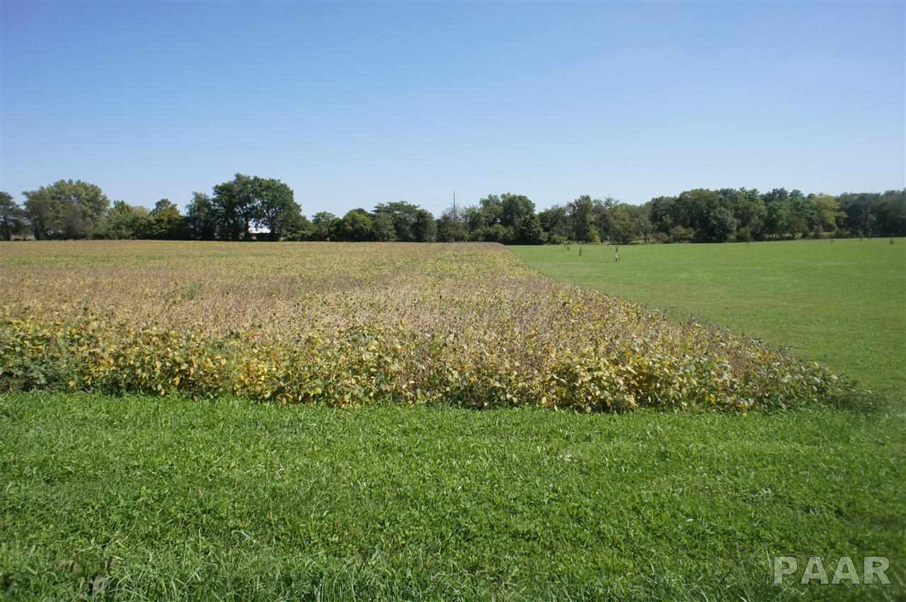 24425 Cooper Road Morton, IL 61550 - Photo 1 of 1 Gallery Image 1