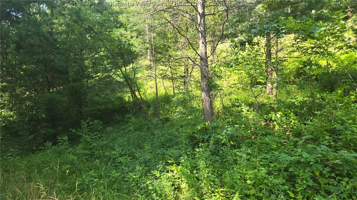 0 Walters Run Ripley, WV 25271 - Photo 2 of 3 Gallery Image 2