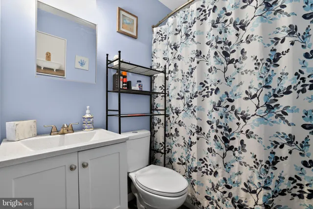 a bathroom with a sink and a toilet