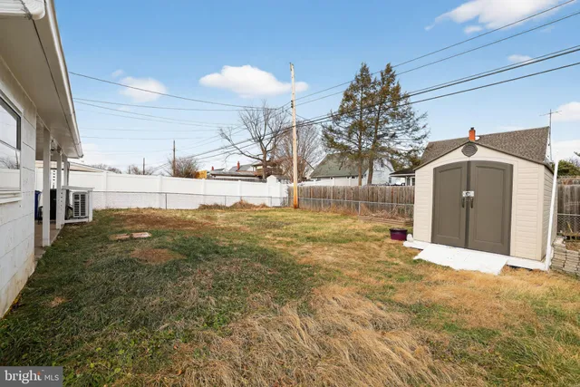 a view of a yard with a large tree