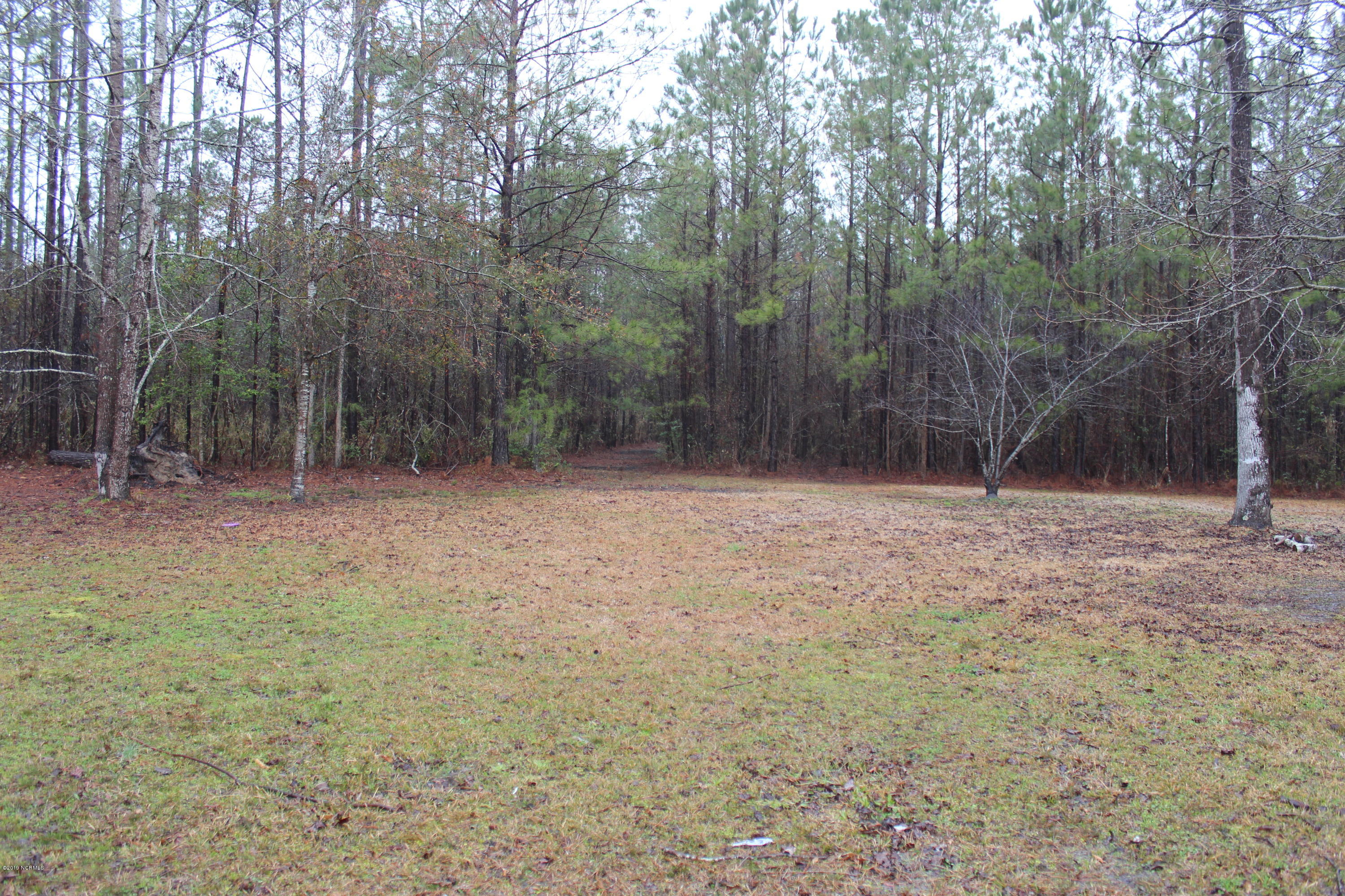 181 Parkertown Road Hubert, NC 28539 - Photo 54 of 68 17 Acres!