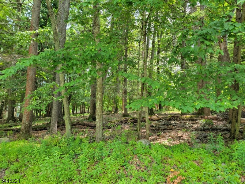 231 Old Chimney Ridge Road Montague, NJ 07827 - Photo 5 of 5