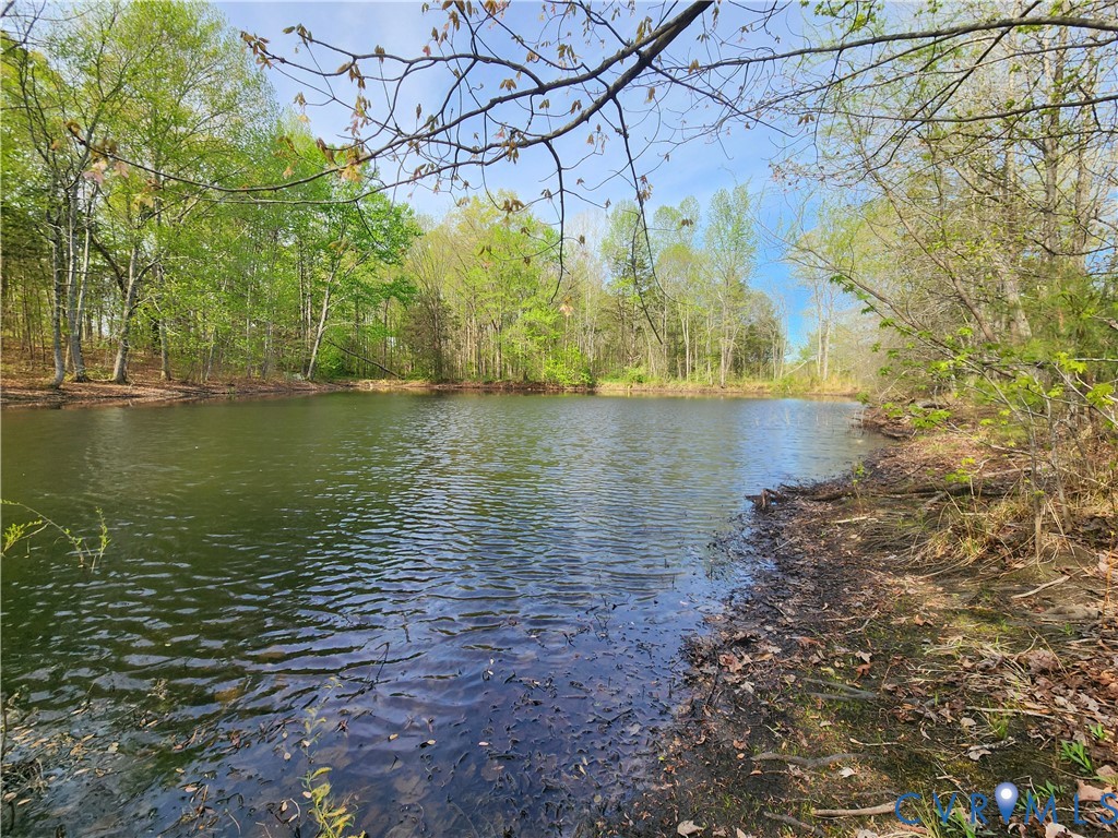 53 Oak Hill Road Cumberland, VA 23040 - Photo 7 of 37 a view of a water yard