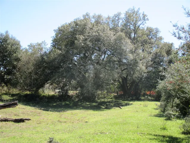 a view of a yard with large trees
