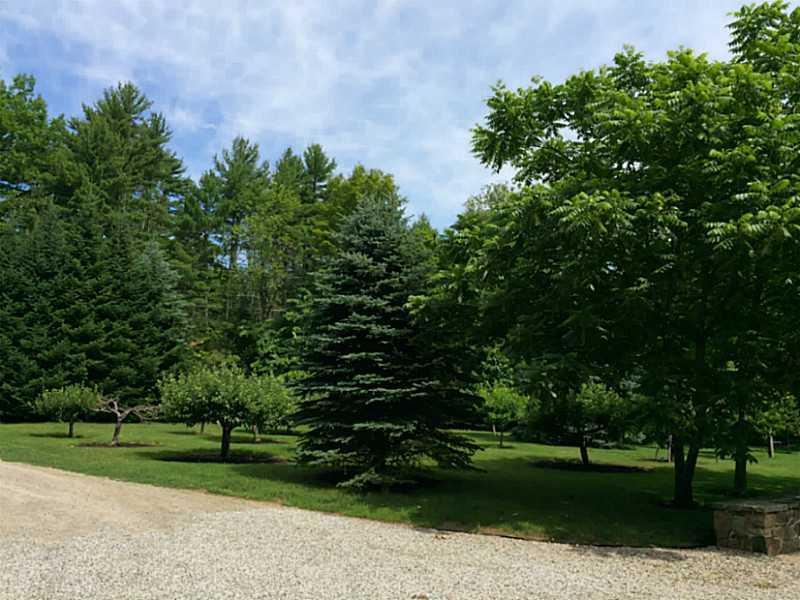 331 Clay Hill Road Cape Neddick, ME 03902 - Photo 20 of 31 Exterior Front. Mature Fruit Trees...