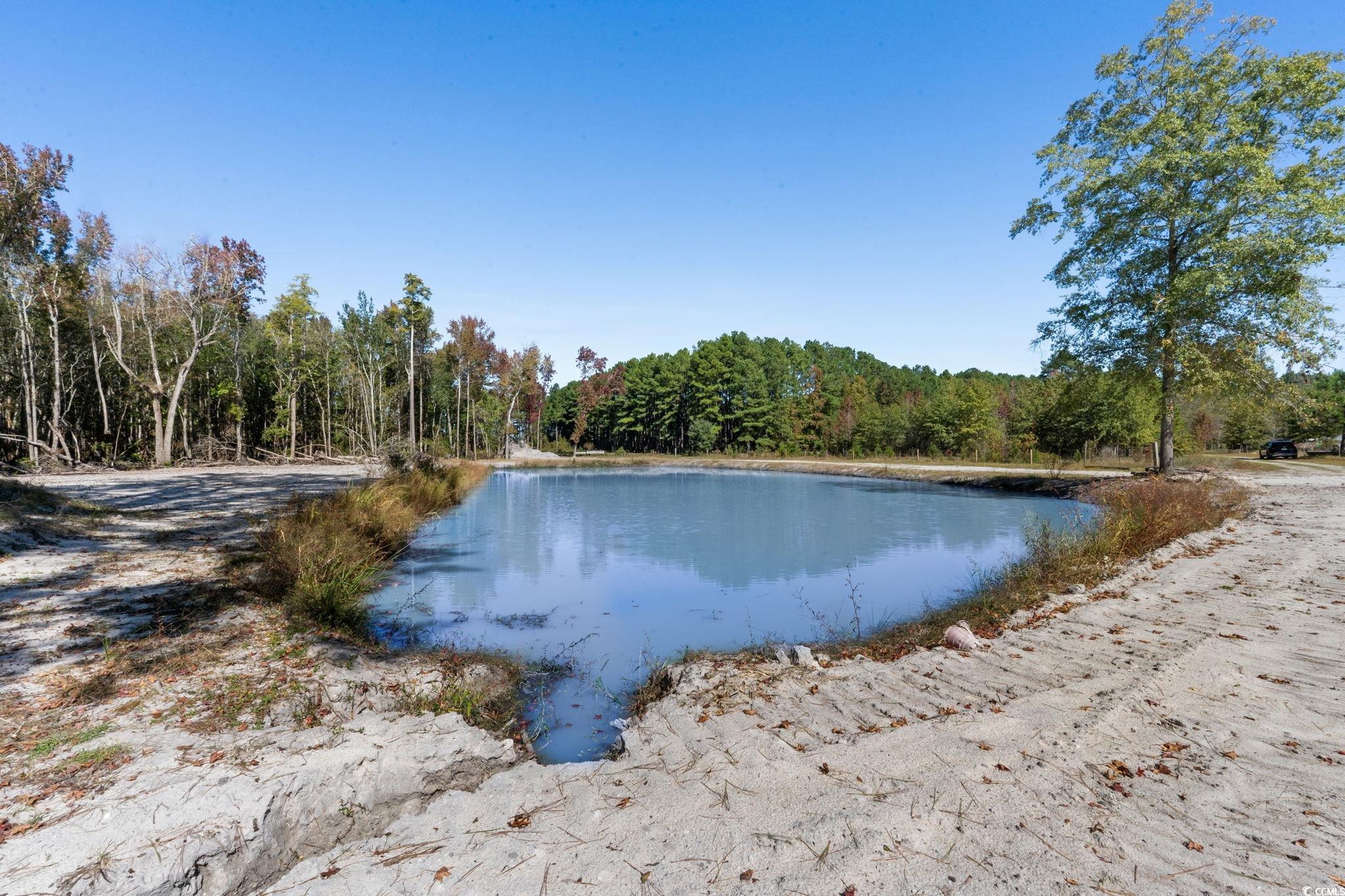 Tbd Tbd Old Ebenezer Road Latta, SC 29565 - Photo 11 of 27 Water view featuring a heavily wooded area