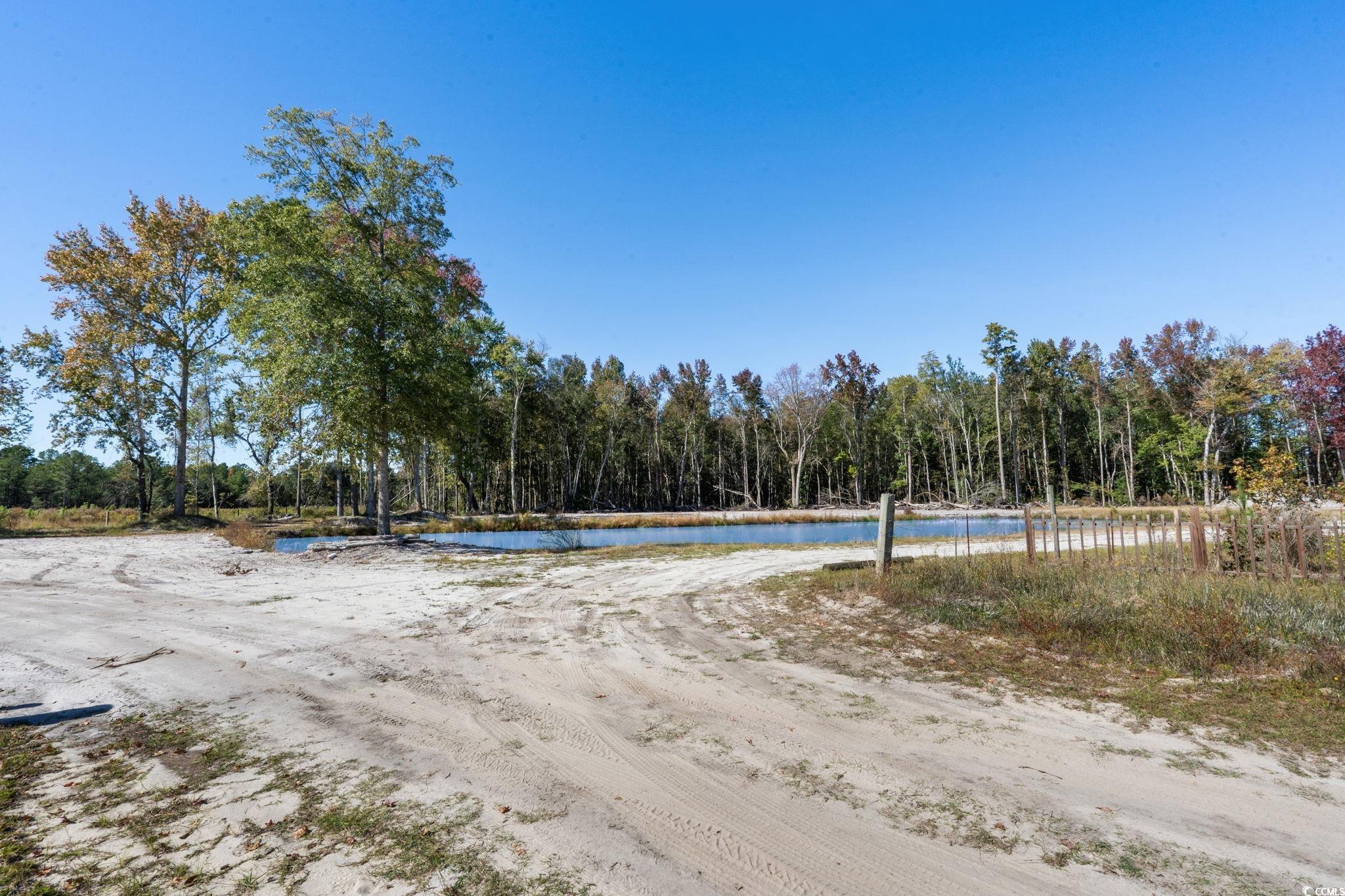 Tbd Tbd Old Ebenezer Road Latta, SC 29565 - Photo 8 of 27 View of dirt / gravel road featuring a water view and a forest view