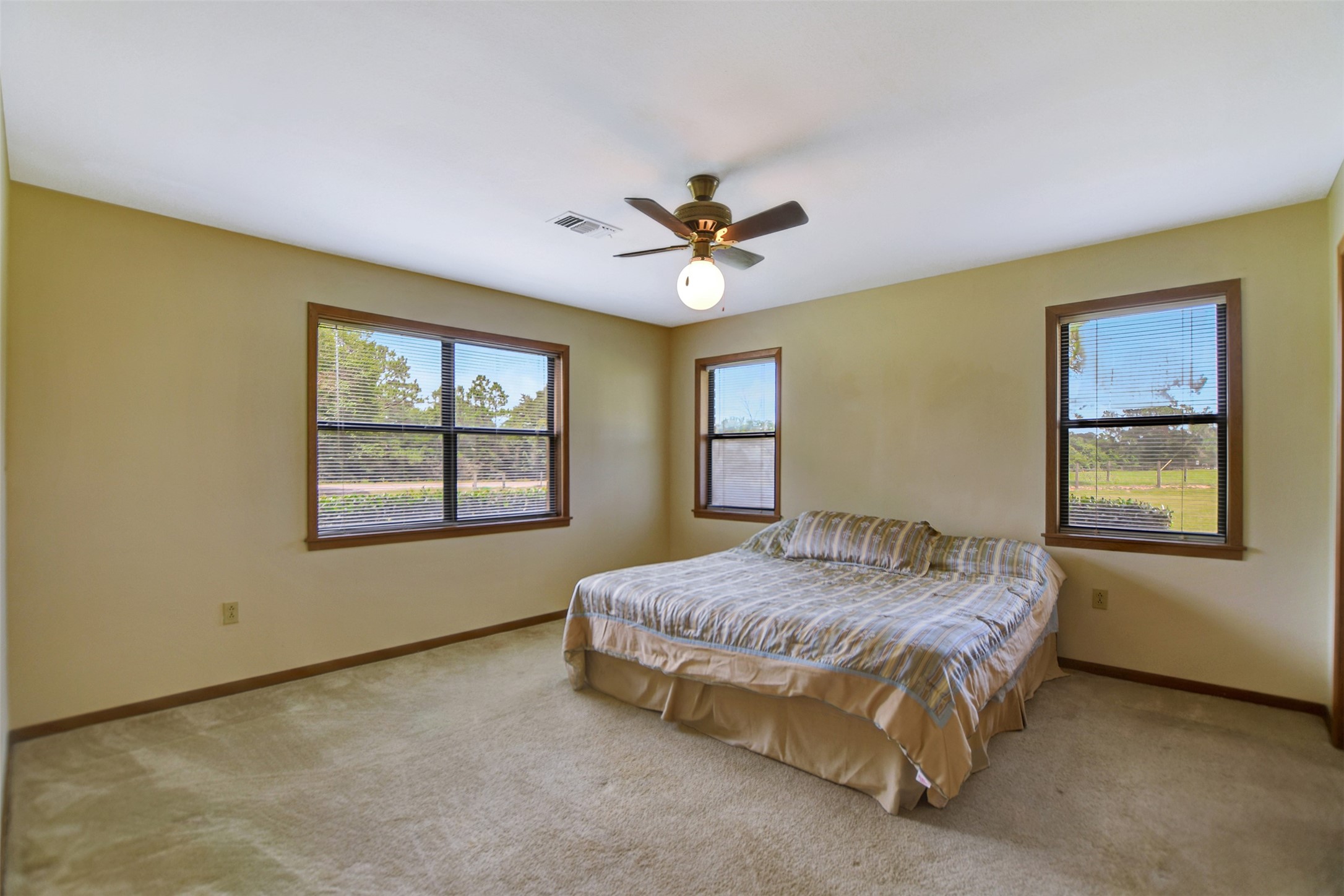 341 South S Loop Bellville, TX 77418 - Photo 26 of 33 This spacious bedroom features neutral walls and carpeting, a ceiling fan, and three large windows offering ample natural light and scenic views. It has a comfortable layout ideal for relaxation.