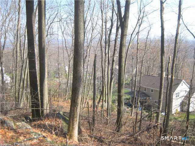 168 Cascade Ridge Southington, CT 06489 - Photo 6 of 9