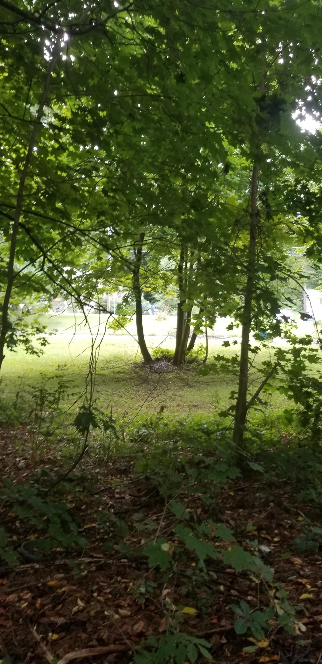 420 Burgess Road Bennington, VT 05201 - Photo 7 of 8