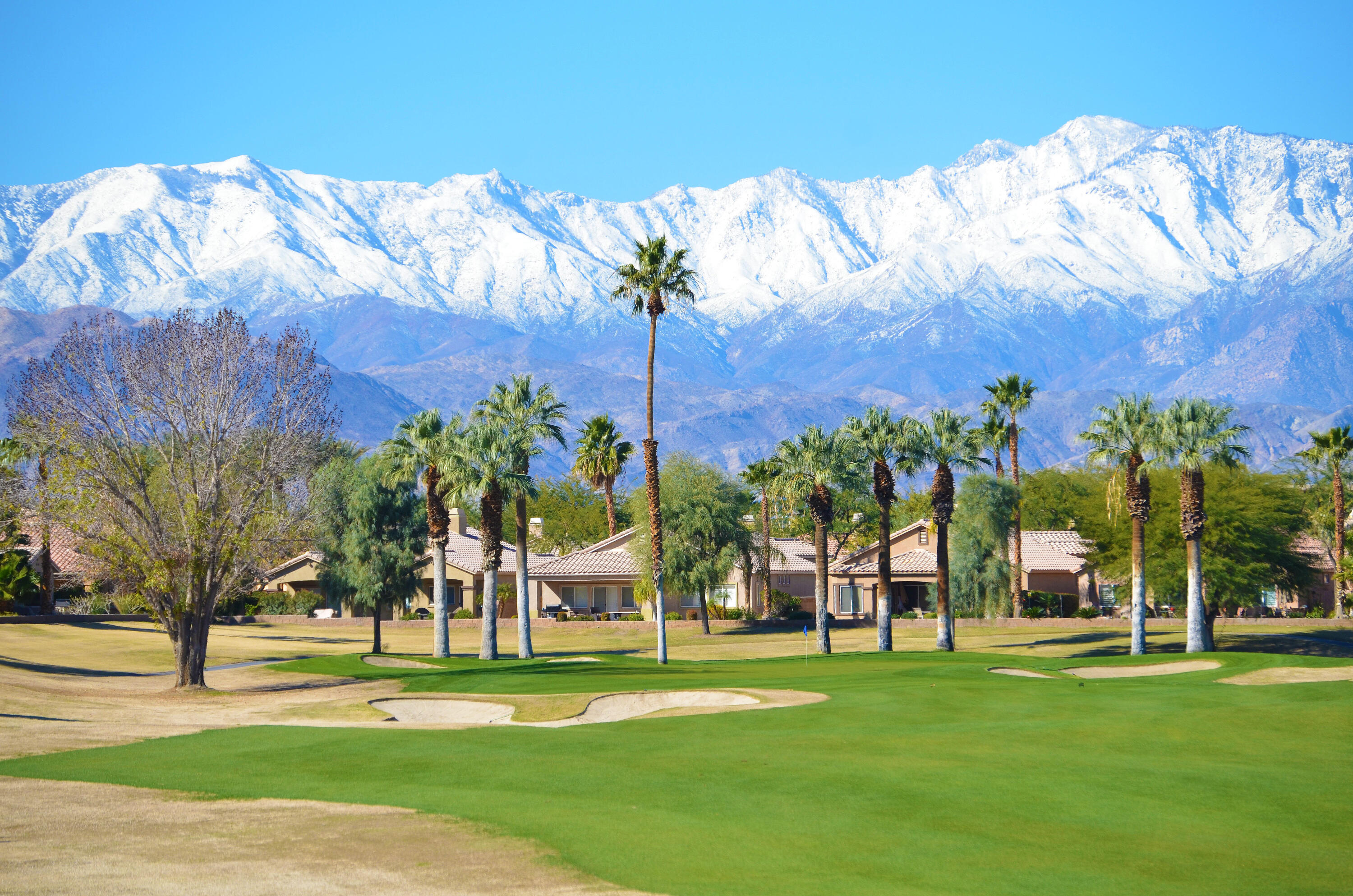80307 Green Hills Drive Indio, CA 92201 - Photo 47 of 48 a view of a park with large trees