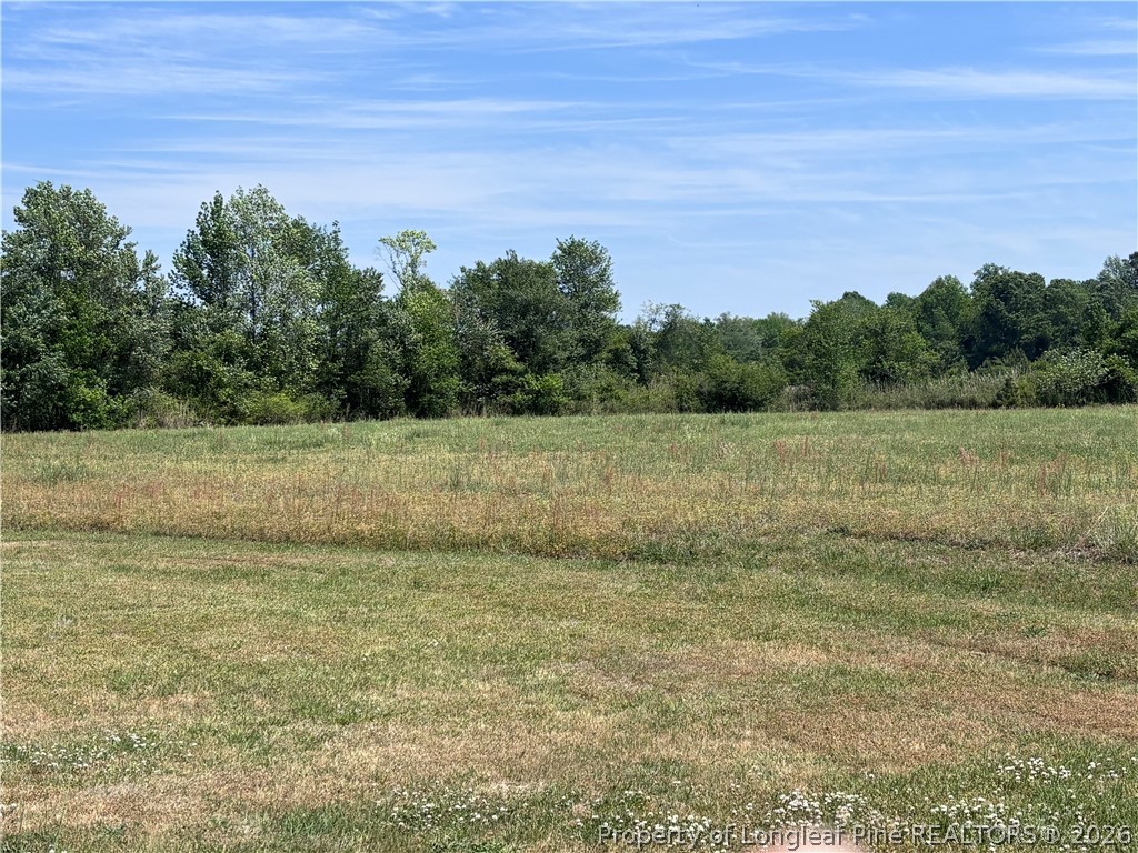 Backswamp Road Lumberton, NC 28360 - Photo 10 of 16 a view of a field with an trees in the background