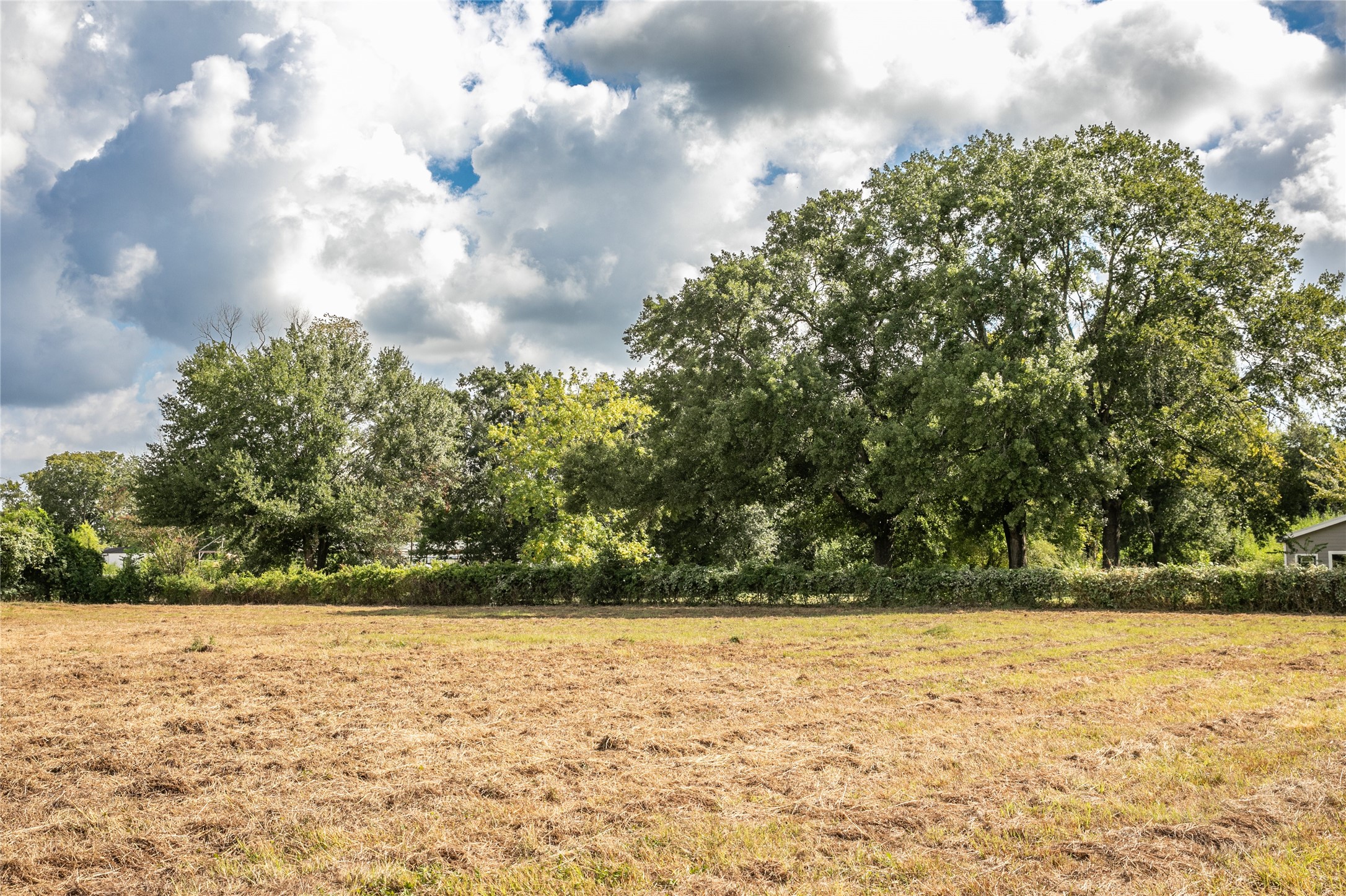 2-acres Red Fox Road Tomball, TX 77377 - Photo 2 of 10 a view of yard
