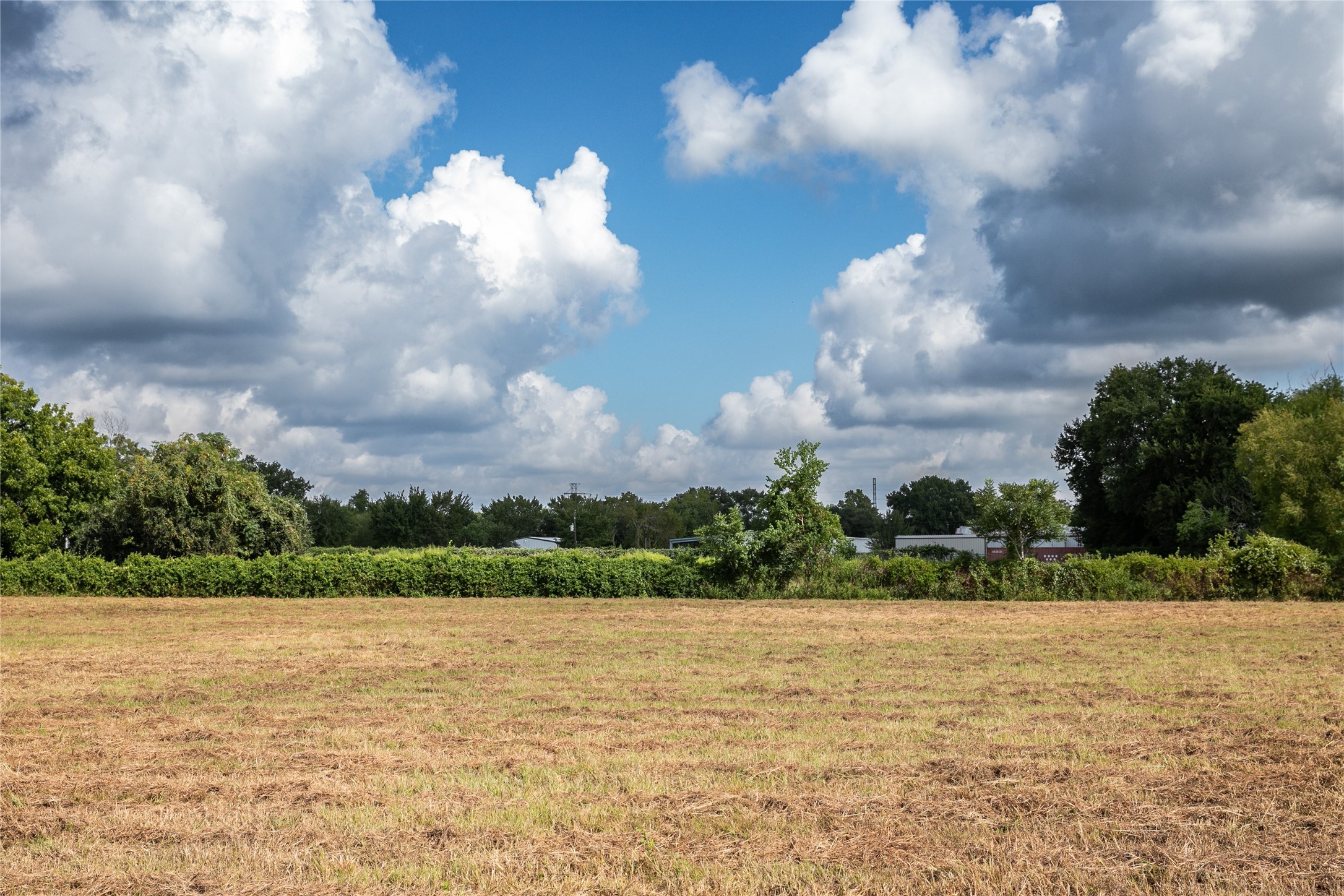 2-acres Red Fox Road Tomball, TX 77377 - Photo 4 of 10 a view of a lake