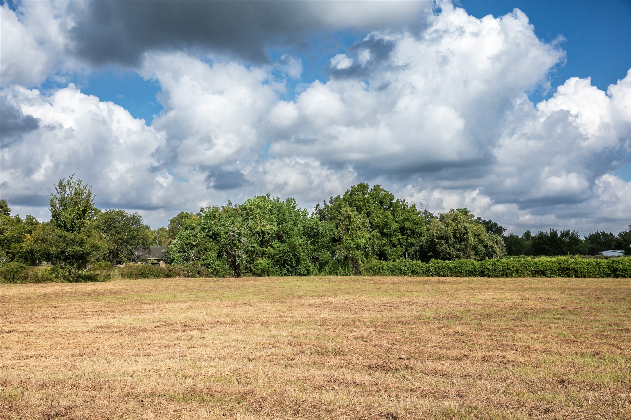 2-acres Red Fox Road Tomball, TX 77377 - Photo 5 of 10 a view of a lake view