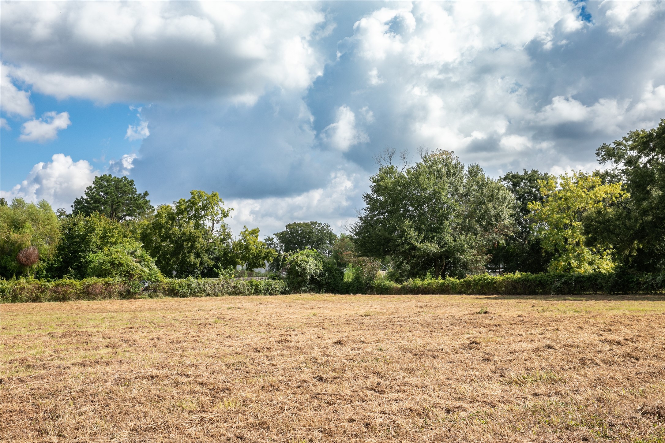2-acres Red Fox Road Tomball, TX 77377 - Photo 6 of 10 a view of outdoor space and yard