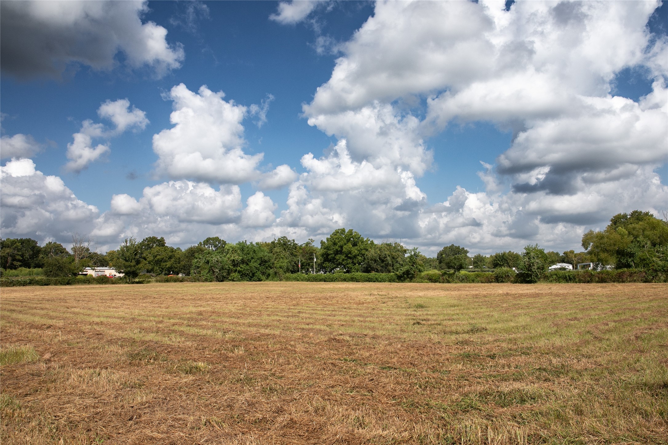 2-acres Red Fox Road Tomball, TX 77377 - Photo 7 of 10 a view of outside with swimming pool and lake in the back