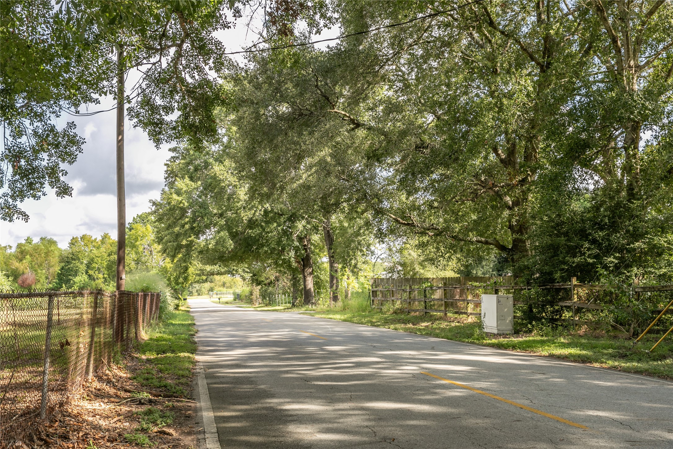 2-acres Red Fox Road Tomball, TX 77377 - Photo 8 of 10 a road view with large trees