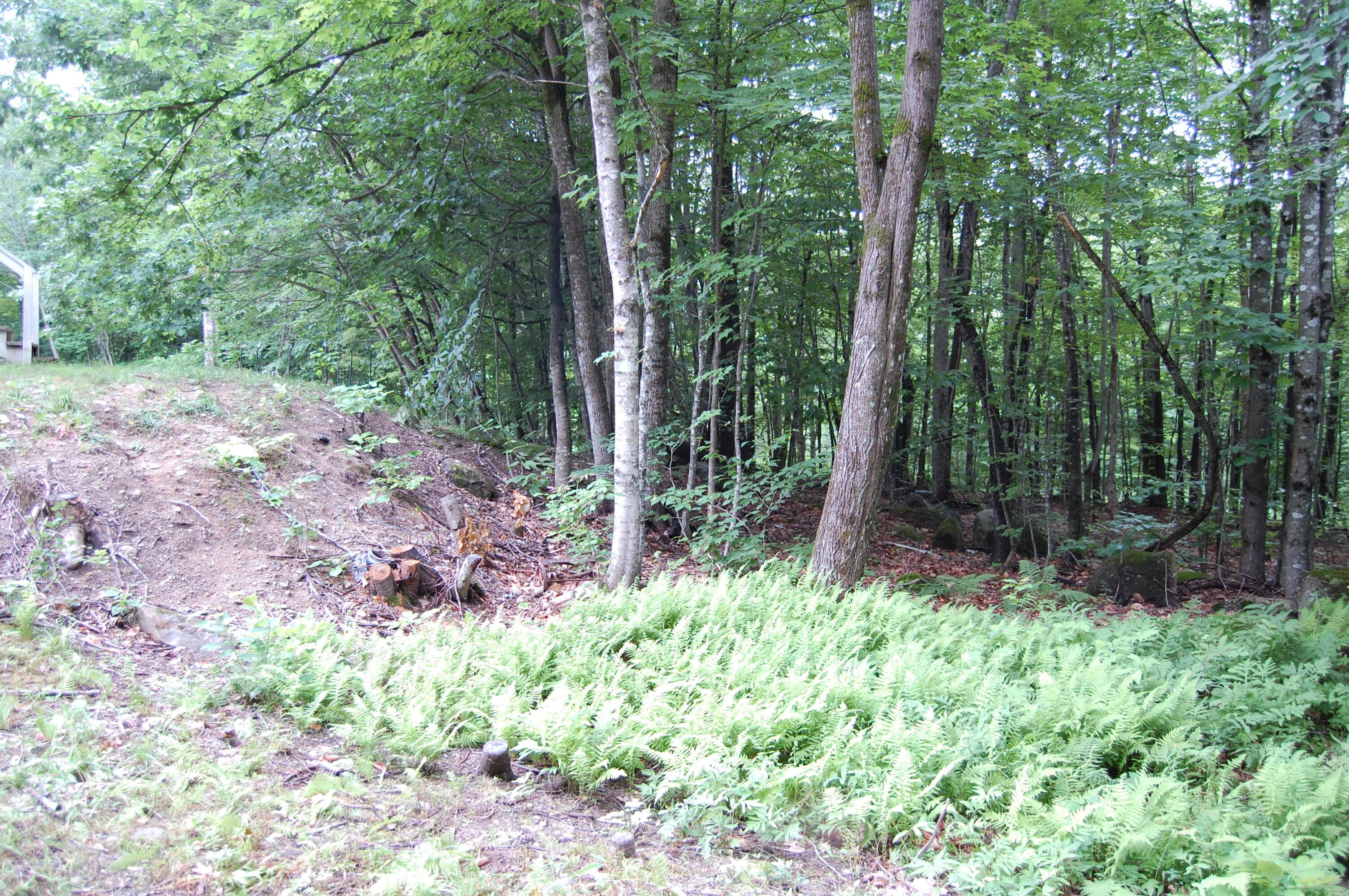 37 Benson Hill Road West Paris, ME 04289 - Photo 42 of 46 Yard