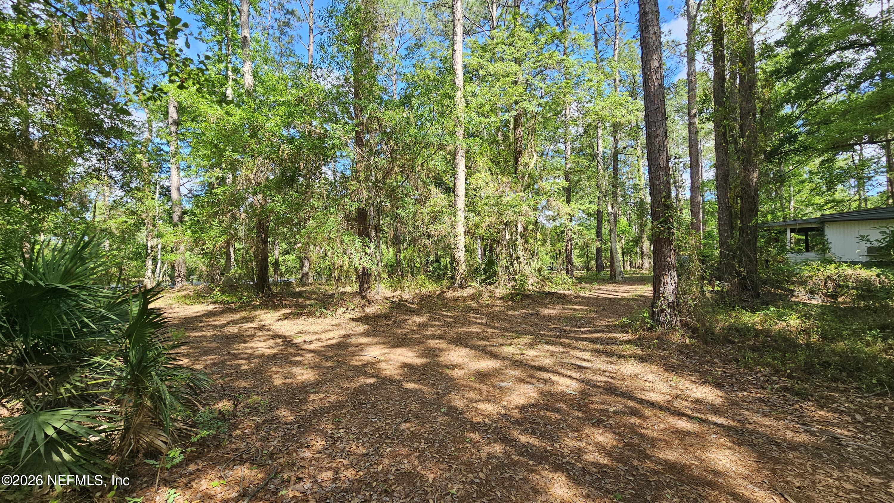 6324 Lannie Road Jacksonville, FL 32218 - Photo 23 of 62 1000105379