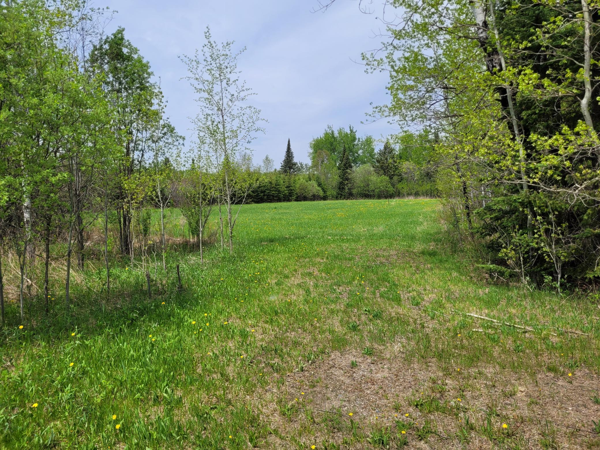 68401 County Road 547 Cook, MN 55723 - Photo 14 of 29